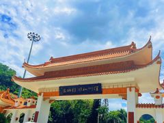 -深圳仙湖植物园