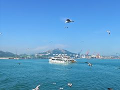 -海驴岛(荣成市)