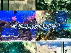 -大连老虎滩海洋公园