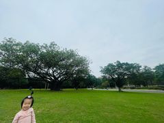 -东莞植物园