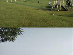 -迪茵湖田家舍生态农场