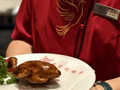 -燕郊烧鸽子(酷车小镇店)