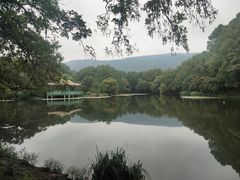 -灵谷景区