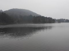 -庐山风景区花径公园