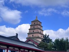 -魏家凉皮(大雁塔南广场餐厅)