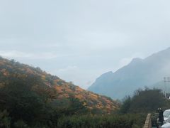 -秦岭风景区
