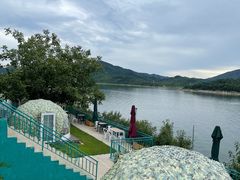 -望湖烤鱼