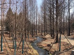 -白水寺森林公园