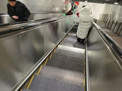 -陆家浜路(地铁站)