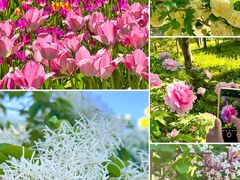 -国家植物园南园