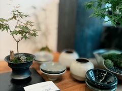 -自由生长植物工作室(深港花卉中心店)