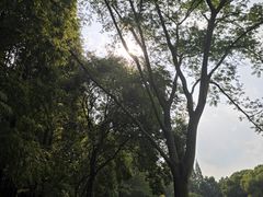 -范蠡湖公园
