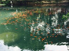 -普陀山风景名胜区-法雨禅寺
