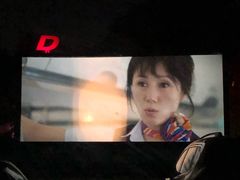 -枫花园汽车电影院(朝阳公园店)