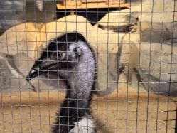 -酷嗒动物文化乐园(cutezoo西溪乐天城店)