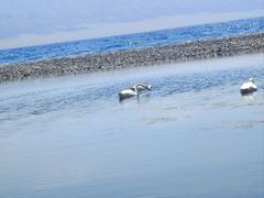 -赛里木湖风景名胜区