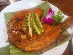 -紫滇源云南生态菜(丹凤街店)