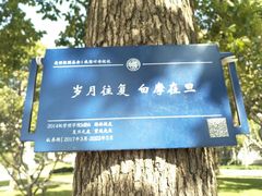 -复旦大学光华楼