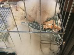 -远洋未来广场(育慧北路店)