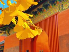 -承恩寺