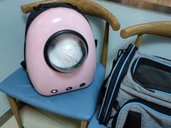 -宠福鑫动物医院(城北分院)