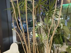-gaga(深圳南山益田假日广场店)