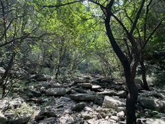 -龙洞风景区-藏龙涧