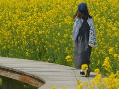 -南北湖风景区