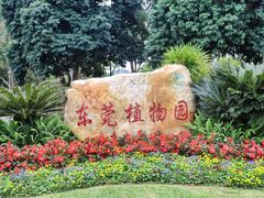 -东莞植物园