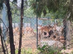 -北京麋鹿生态实验中心