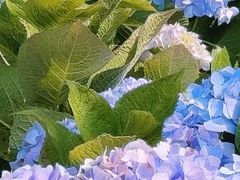 -日本风情街