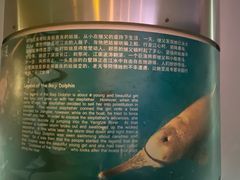 -上海海洋水族馆