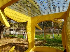 -千年银杏谷文化旅游区