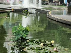 -常州古运河南大街文化旅游区-人民公园