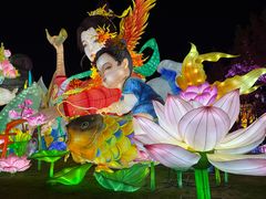 -厦门园林博览苑