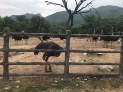 -西安秦岭野生动物园