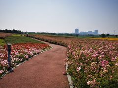 -苏州湾体育公园