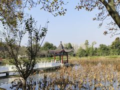 -青龙山国家森林公园