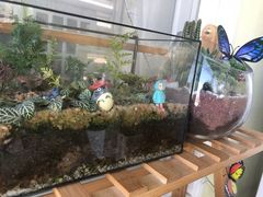 -千浔一暖DIY蛋糕烘焙(人民大学店)