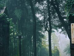 -莫干山风景区
