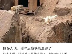 -昆明动物园