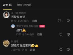-瑞派雷欧宠物医院·24h夜诊·心脏骨科牙科·全科重症转诊中心(无影山店)