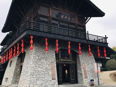 -大唐贡茶院