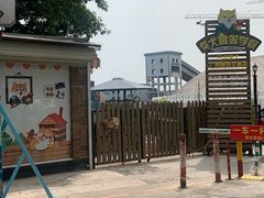 -柴犬高等学院·狗咖·柴犬售卖·宠物训练