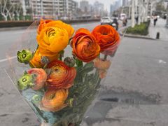 -循礼门鲜花花市(武汉循礼门店)