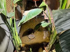 -邈墨茶馆(凤起路店)