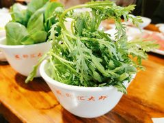 -邵汇大虾(大东门店)