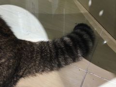 -小时光咖啡馆(开森度假森林店)
