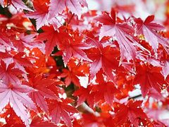 -南山风景名胜区