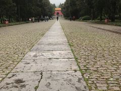 -紫霞湖公园
